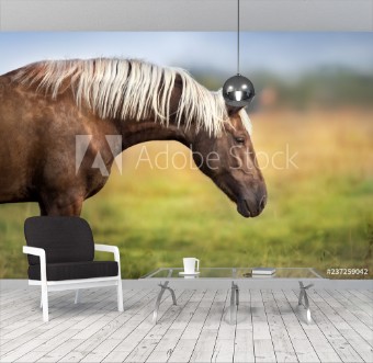 Picture of Horse with blond mane